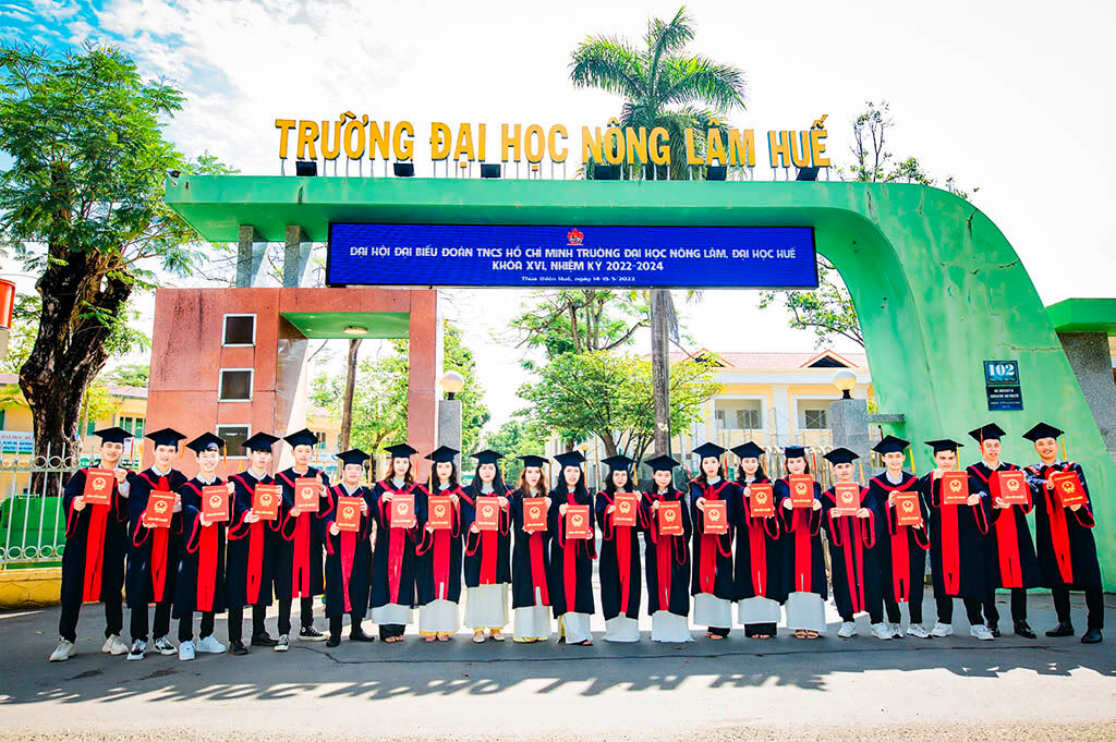 Witness the timeless charm of Hue’s cultural landmark